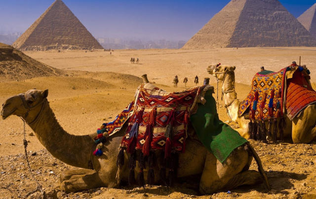 Стоимость Египетских виз повысится 1 июля