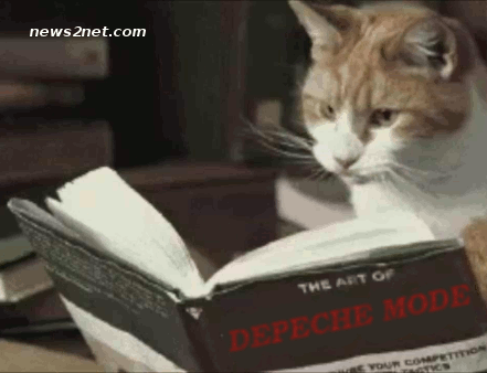 Cat reads book about Depeche Mode