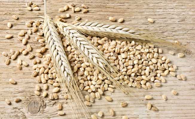 Перловка признана суперпродуктом 