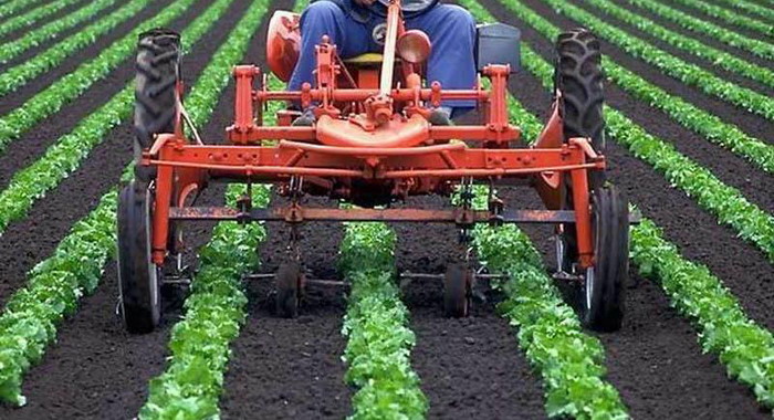 10 самых грязных продуктов питания