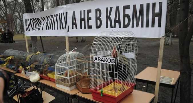 Под Радой живые кролики и петух