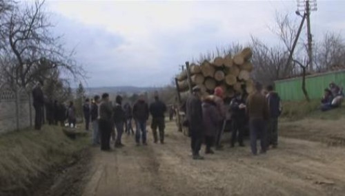 Селяне перекрыли путь лесовозам